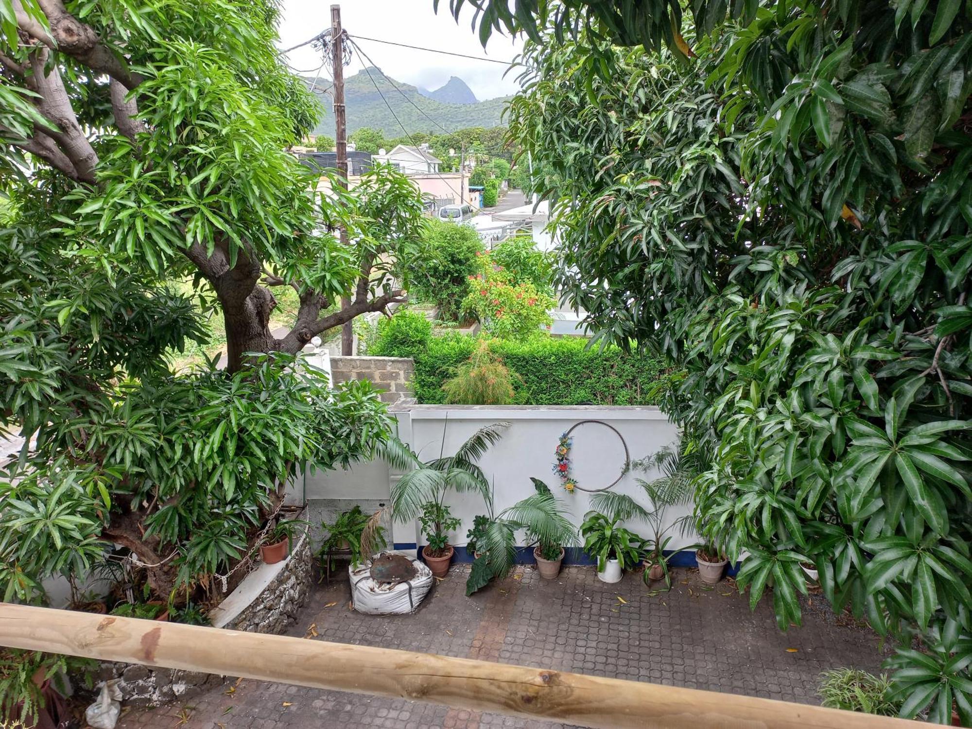 Open Air Cafe & Apartments 路易港 客房 照片