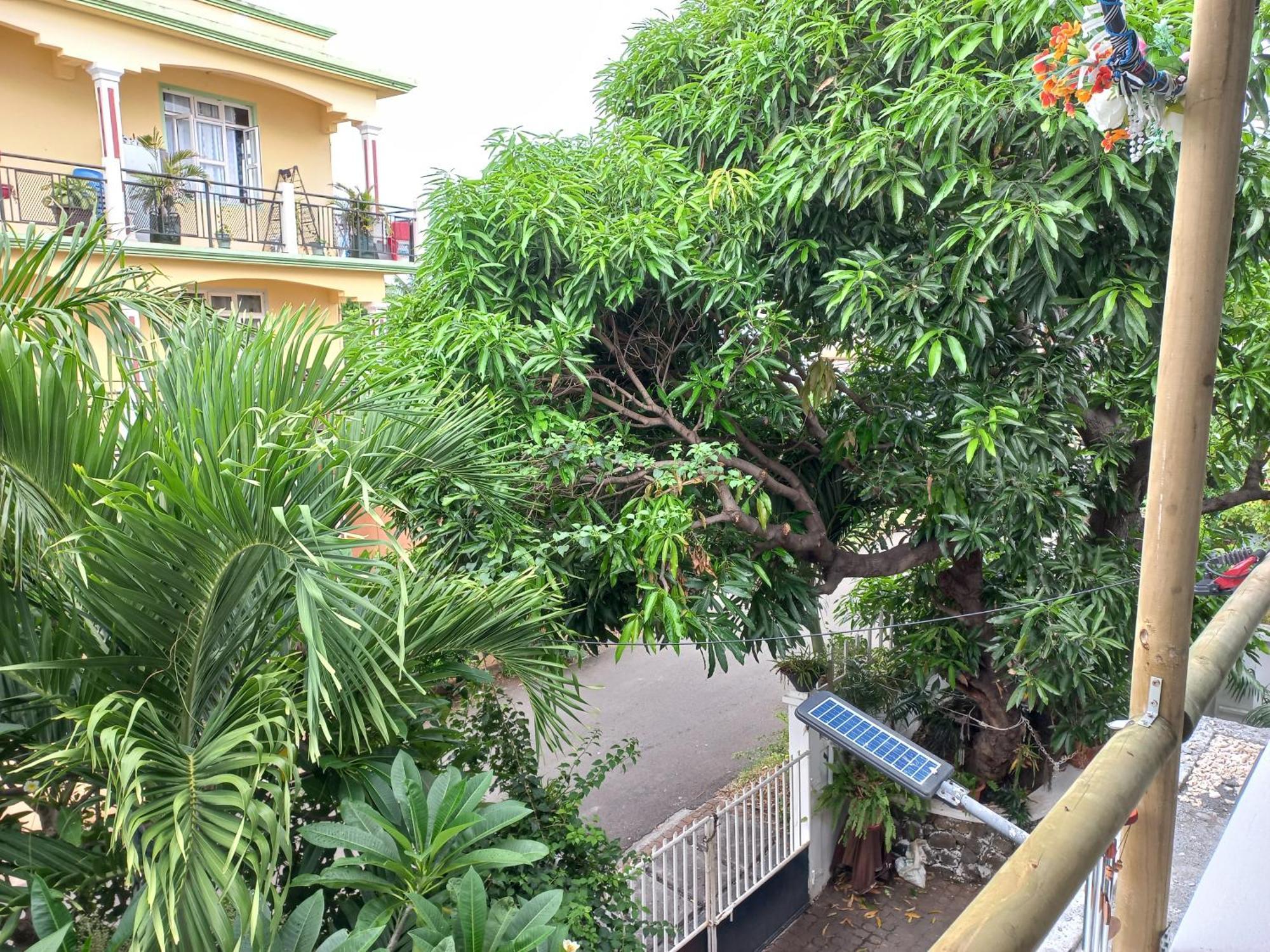 Open Air Cafe & Apartments 路易港 客房 照片
